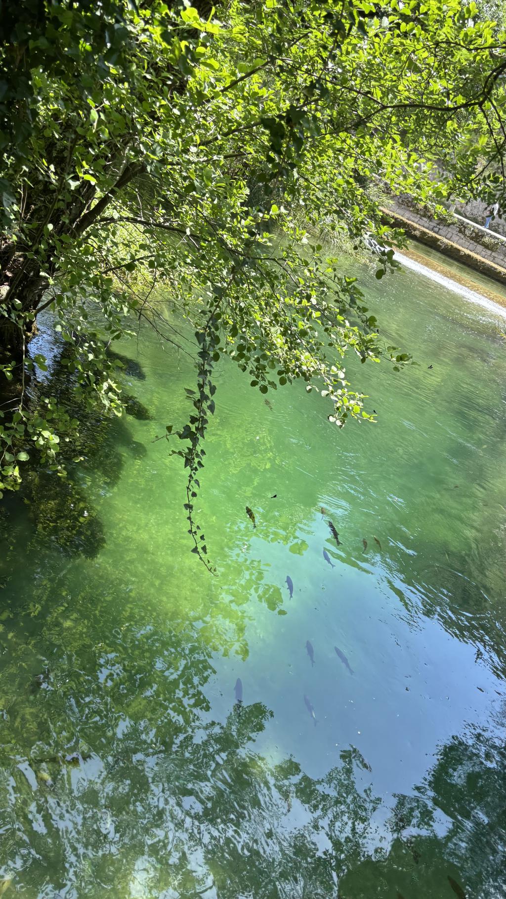 Zadar Chorwacja, Zaton 2025 – zdjęcie