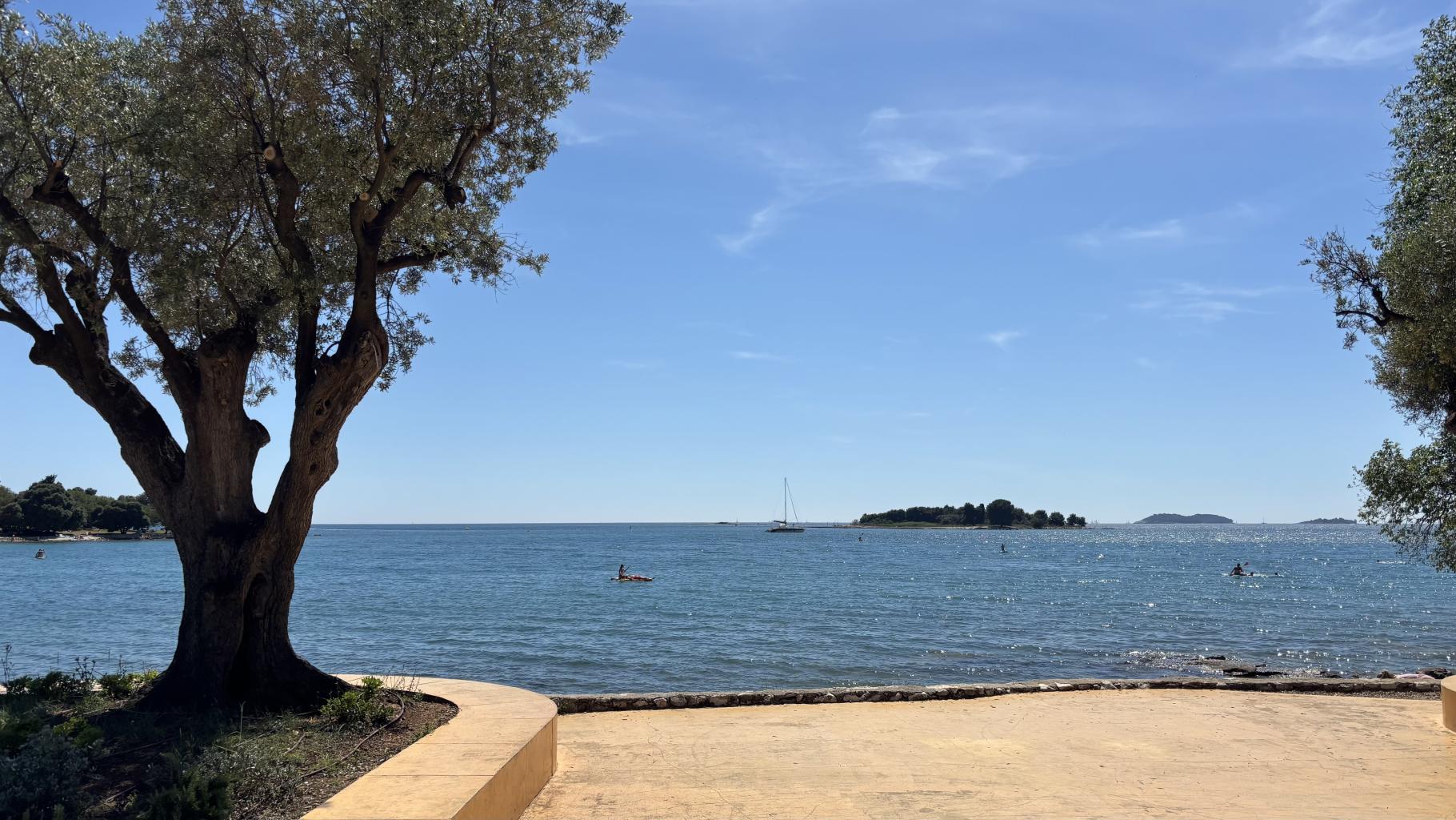 Rovinj 2026 – zdjęcie