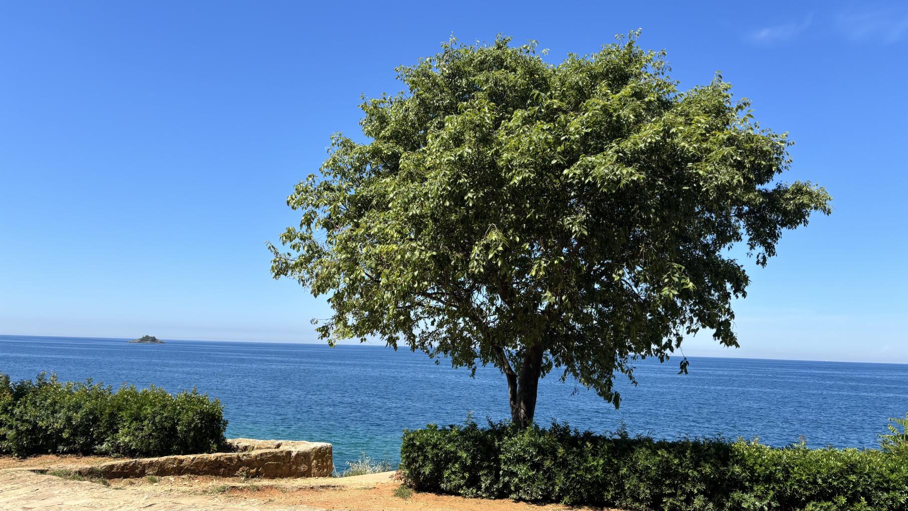 Rovinj 2026 – zdjęcie