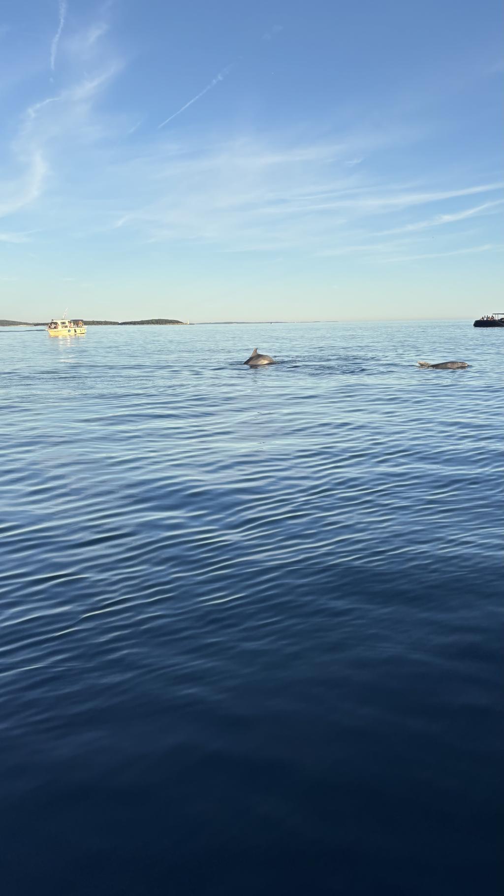 Rovinj 2026 – zdjęcie