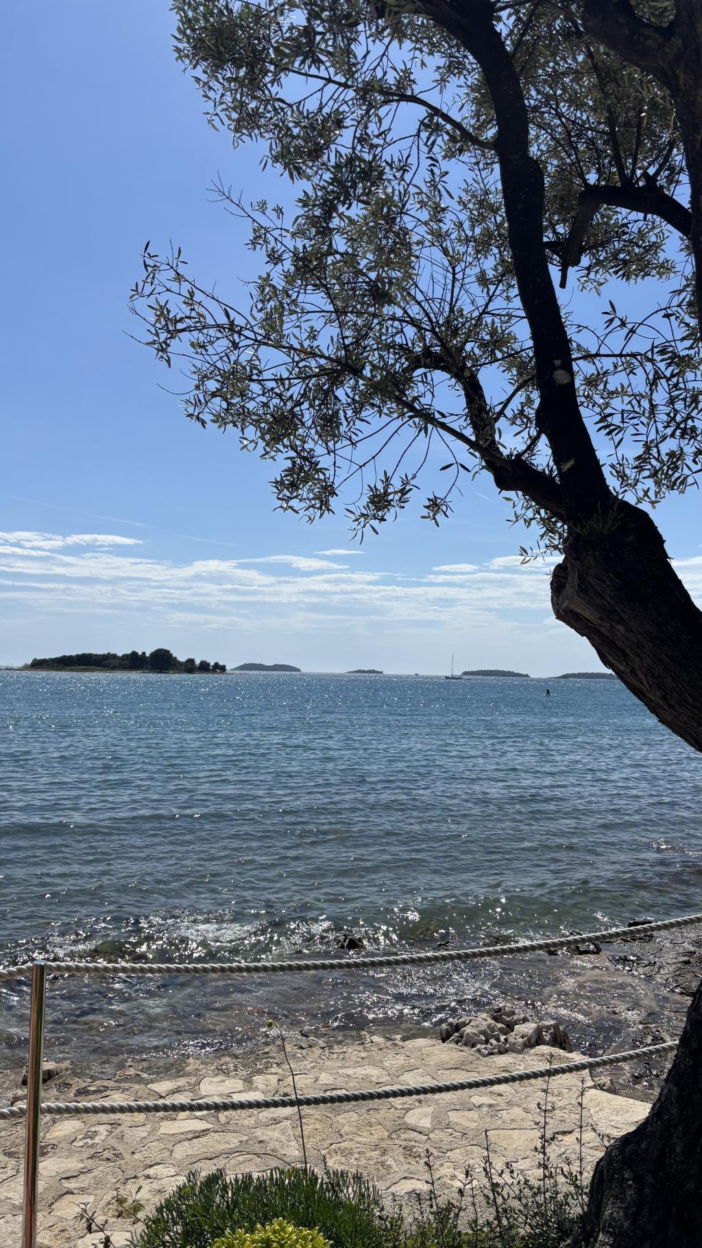 Rovinj 2026 – zdjęcie